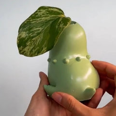 Pokemon Chikorita Kawaii Planter Flower Pot Creative Pot Chikoritas Statue Vase Ornaments Figure Model Decor Gifts Toy
